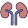 Nephrology